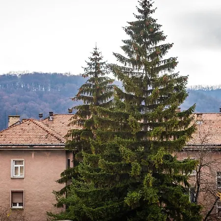Quibio Terrace Apartment
