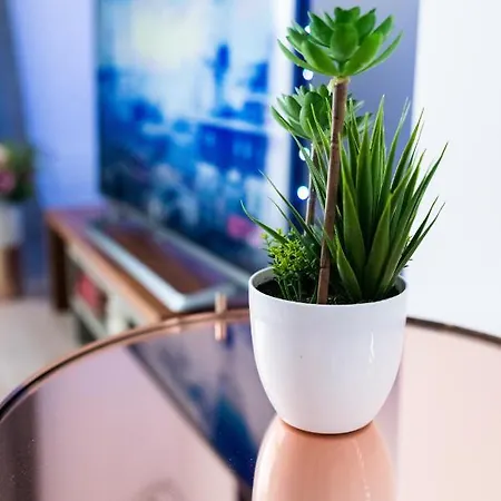 Quibio Terrace Apartment