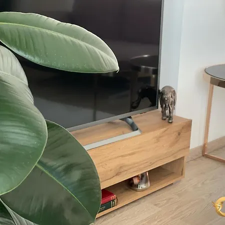 Quibio Terrace Apartamento *