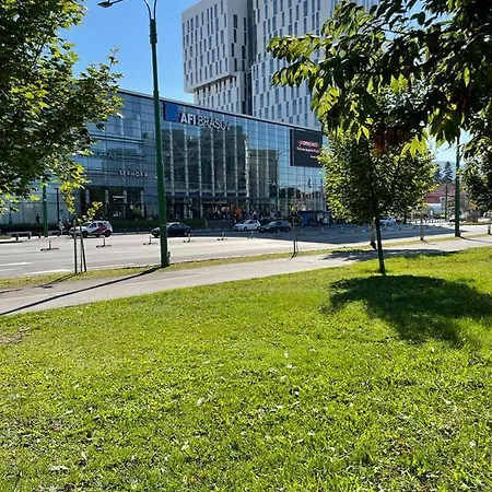 Quibio Terrace * Braşov