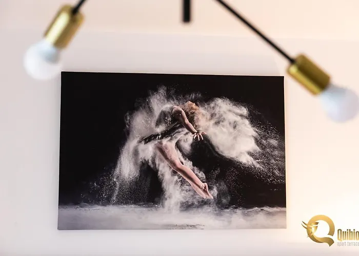 公寓 Quibio Terrace 布拉索夫