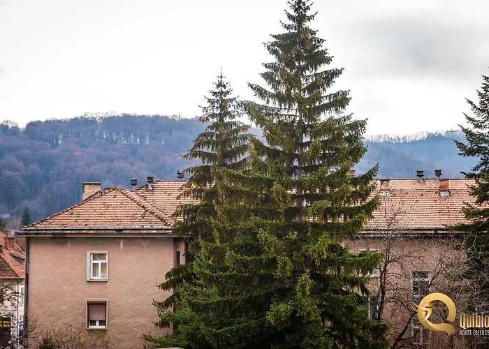 Quibio Terrace 公寓