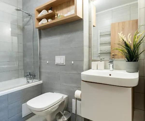 Quibio Terrace Braşov