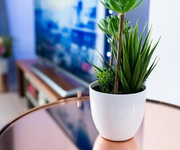 Quibio Terrace 公寓